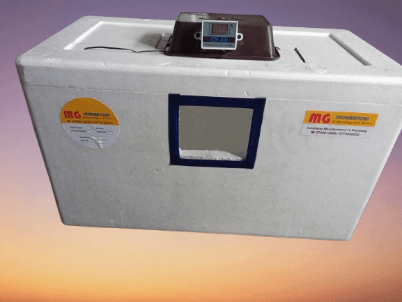 Egg Incubator Manual 50 eggs - (MG Incubators)